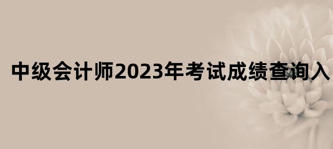 中级会计师2023年考试成绩查询入口官网