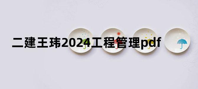 二建王玮2024工程管理pdf