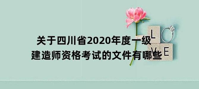 关于四川省2020年度一级建造师资格考试的文件有哪些