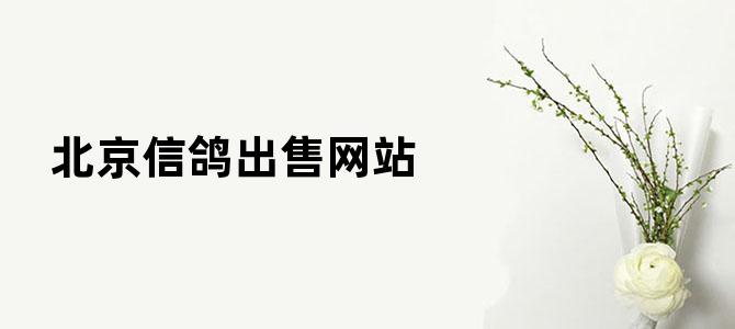 北京信鸽出售网站