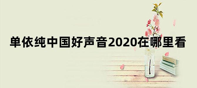 单依纯中国好声音2020在哪里看