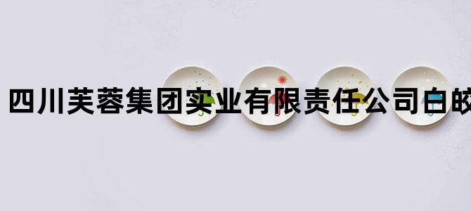 四川芙蓉集团实业有限责任公司白皎煤矿专用线