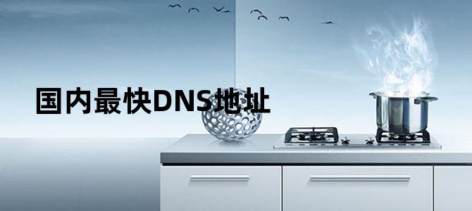 国内最快DNS地址