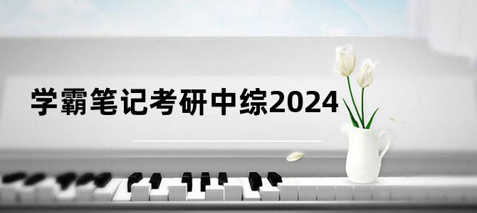 学霸笔记考研中综2024