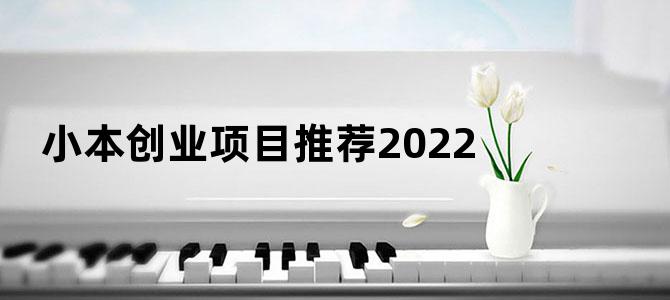 小本创业项目推荐2022