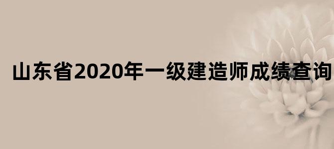 山东省2020年一级建造师成绩查询时间