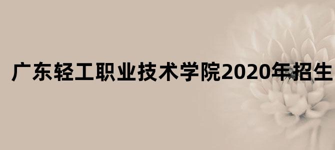 广东轻工职业技术学院2020年招生简章