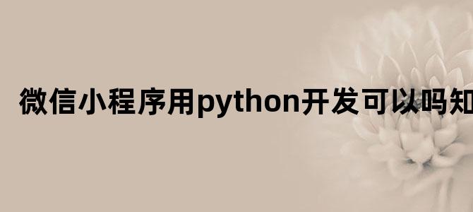 微信小程序用python开发可以吗知乎