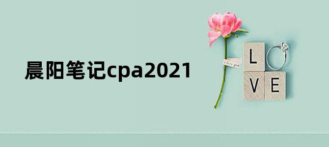 晨阳笔记cpa2021