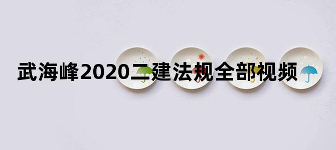 武海峰2020二建法规全部视频