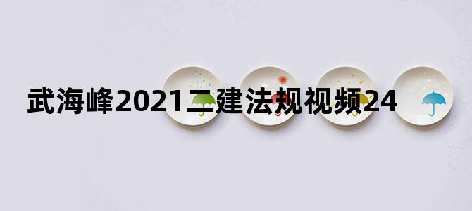 武海峰2021二建法规视频24
