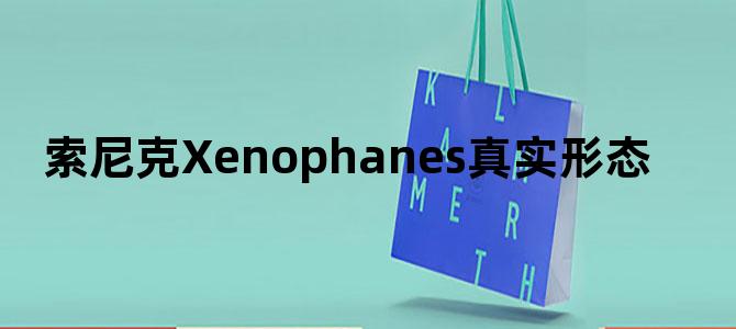 索尼克Xenophanes真实形态