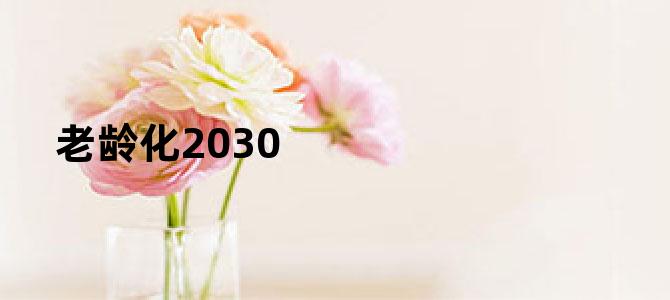 老龄化2030