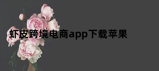 虾皮跨境电商app下载苹果