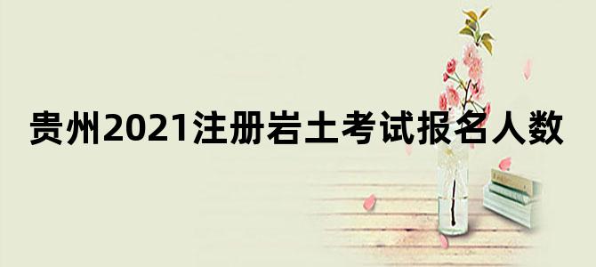 贵州2021注册岩土考试报名人数