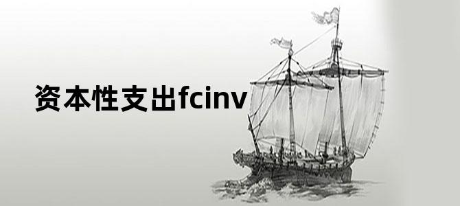 资本性支出fcinv