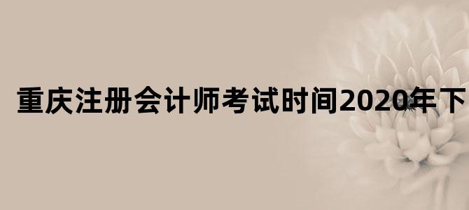 重庆注册会计师考试时间2020年下半年