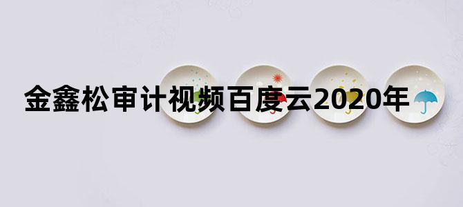 金鑫松审计视频百度云2020年