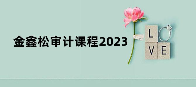 金鑫松审计课程2023