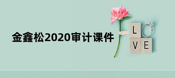 金鑫松2020审计课件