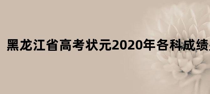 黑龙江省高考状元2020年各科成绩是多少