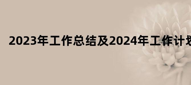 2023年工作总结及2024年工作计划