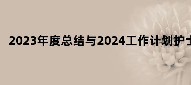 2023年度总结与2024工作计划护士