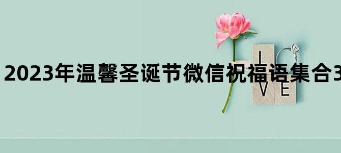 2023年温馨圣诞节微信祝福语集合33句英文翻译中文