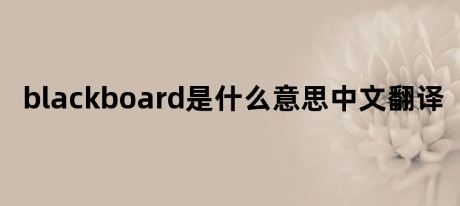 blackboard是什么意思中文翻译