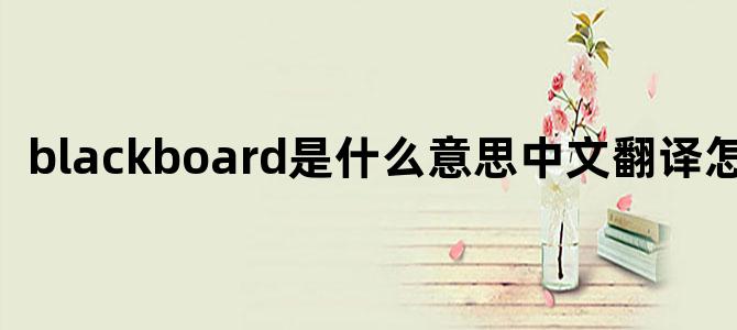 blackboard是什么意思中文翻译怎么读