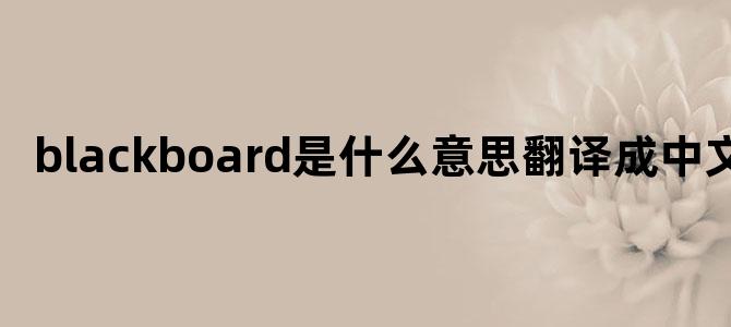 blackboard是什么意思翻译成中文