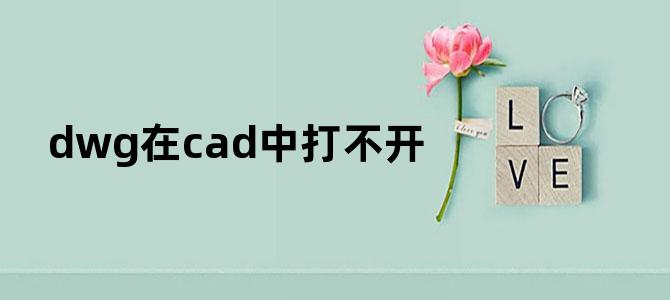 dwg在cad中打不开