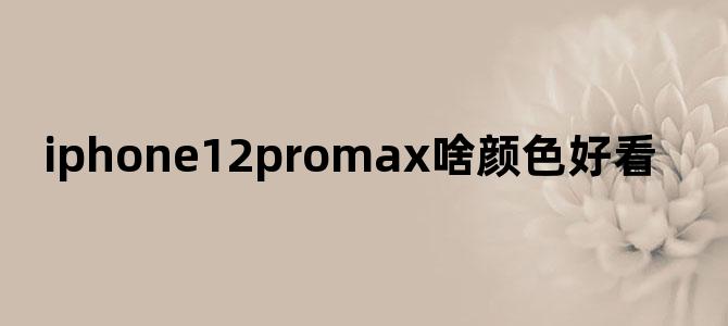 iphone12promax啥颜色好看