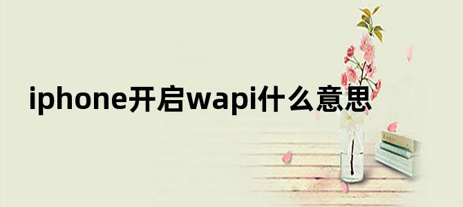 iphone开启wapi什么意思