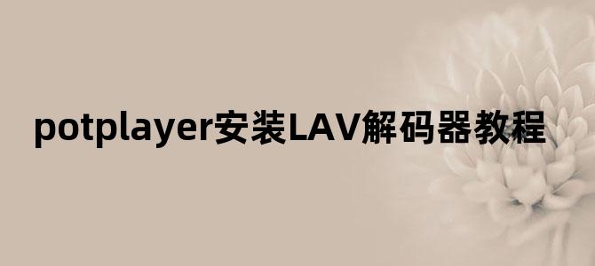 potplayer安装LAV解码器教程