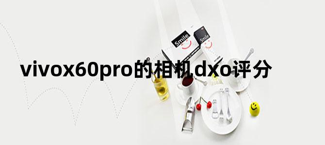 vivox60pro的相机dxo评分