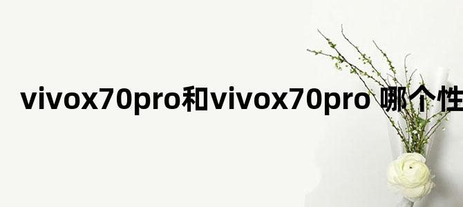 vivox70pro和vivox70pro+哪个性价比高