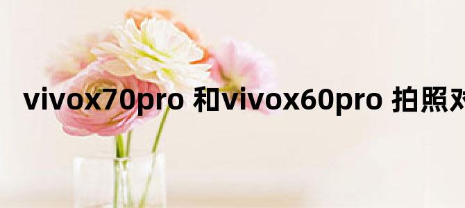 vivox70pro+和vivox60pro+拍照对比