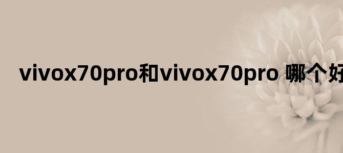 vivox70pro和vivox70pro+哪个好
