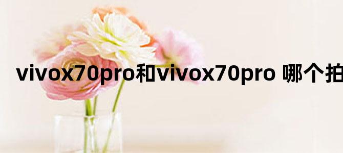 vivox70pro和vivox70pro+哪个拍照好