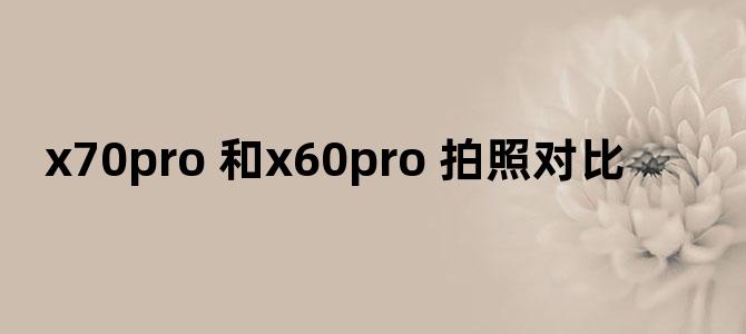 x70pro+和x60pro+拍照对比