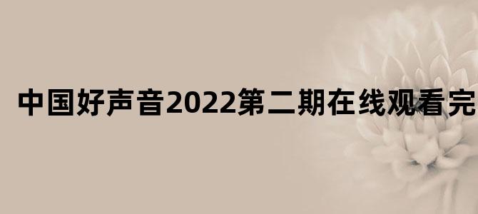 中国好声音2022第二期在线观看完整版