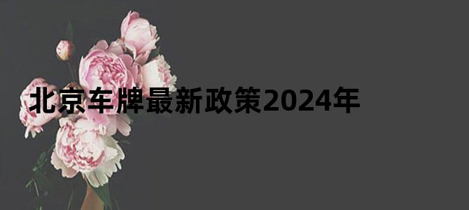 北京车牌最新政策2024年