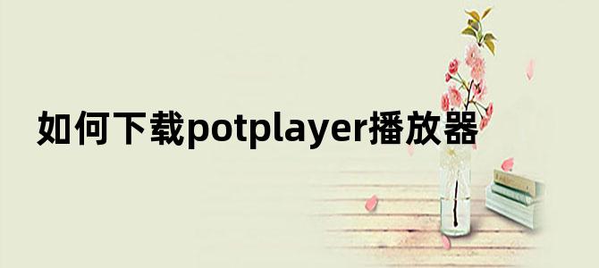 如何下载potplayer播放器