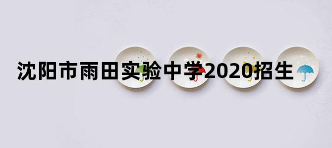 沈阳市雨田实验中学2020招生