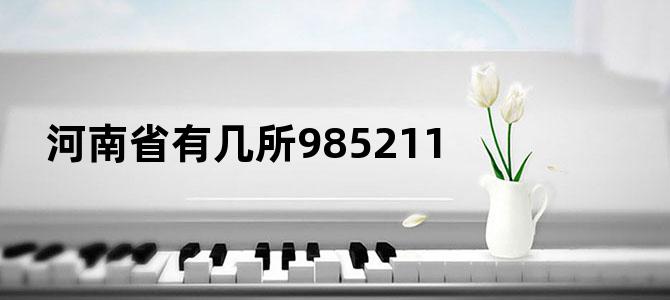 河南省有几所985211