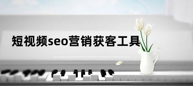 短视频seo营销获客工具