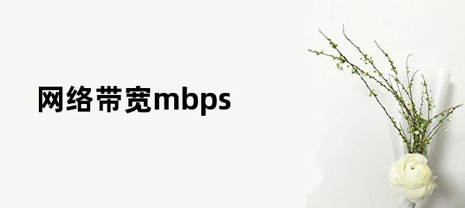 网络带宽mbps