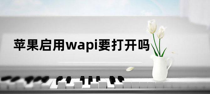 苹果启用wapi要打开吗