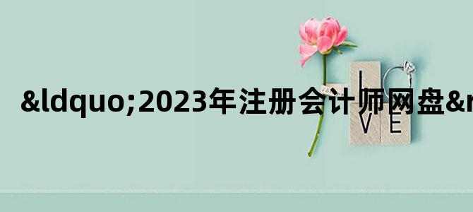 '“2023年注册会计师网盘”'